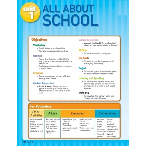 Big English Plus 6 Teacher's Book: Количество страниц 384