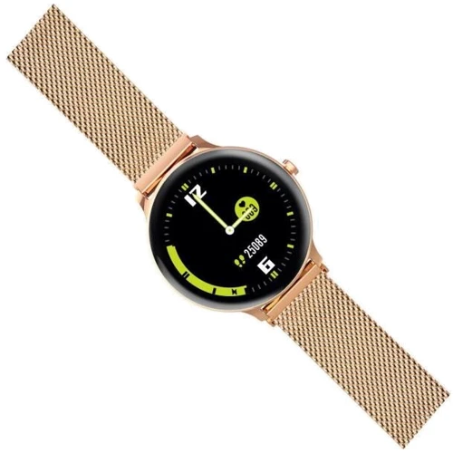 Смарт-часы Blackview X2 Gold: Емкость батареи, мАч 260