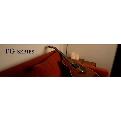 Акустическая гитара YAMAHA FG820 (SB): Количество струн 6