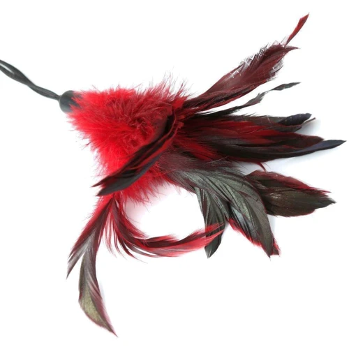 Метелочка Sportsheets - PLEASURE FEATHER RED