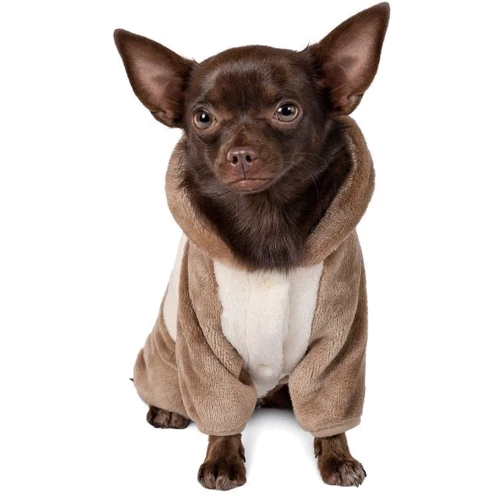 Костюм Pet Fashion "ALF" XS-2 молочно-коричневий (4823082418237): Розмір тваринного маленькі