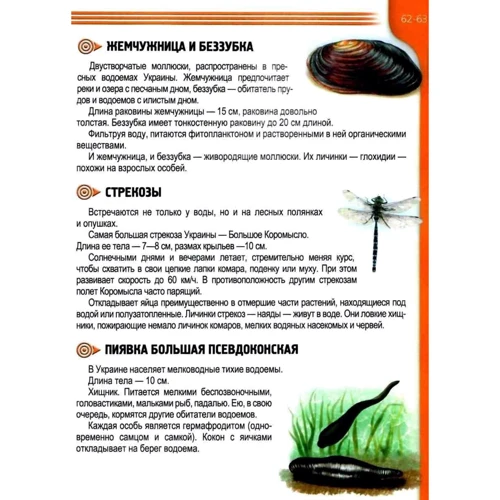 Рослини та тварини України: ISBN 978-617-695-063-9