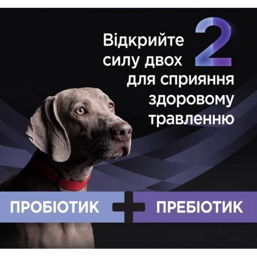 Пробіотик з пребіотиком для собак та цуценят Purina Pro Plan FortiFlora Plus для підтримки нормальної міклофлори кишечника 30х2 г (8445290504937): Країна виробник Франция