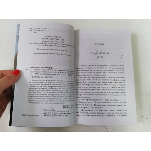 Обещай, что никому не скажешь: Количество страниц 288