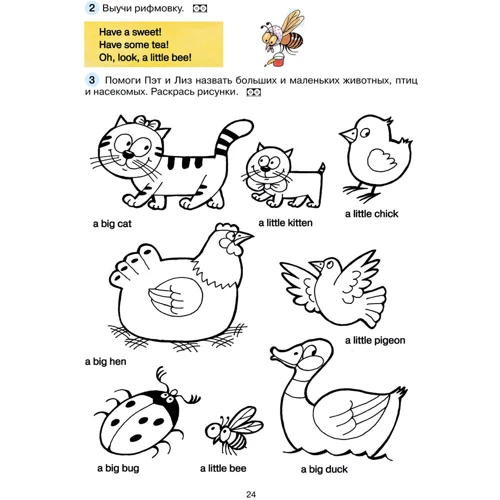 Английский для самых маленьких 3-5 лет. Учебник: Производитель Росмэн