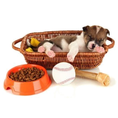 Товары для собак