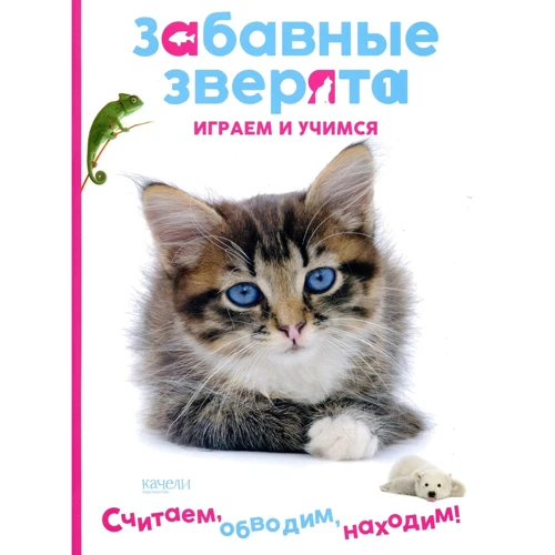 Кошеня. Забавні звірята