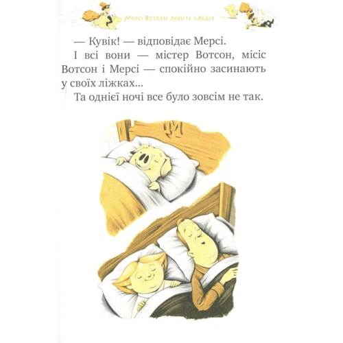 Кейт ДіКамілло: мерсі Вотсон ловити злодія. книга 3: Обкладинка Тверда