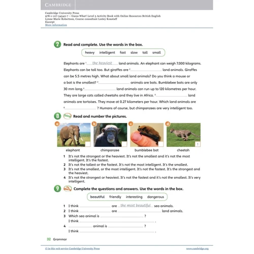 Guess What! 5: Activity Book with Online Resources: Обкладинка Мягкая