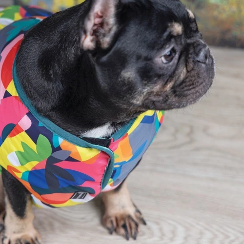 Жилет Pet Fashion "SPRING" принт XS-2 (4823082420537): Длина спины 26-28 см