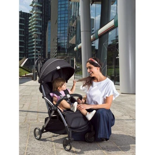Коляска Chicco Goody Plus Stroller (79877.72) фото 13