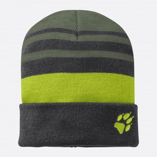 Шапка Jack Wolfskin Stripy Knit Cap темно-зеленая (1910401_5145)