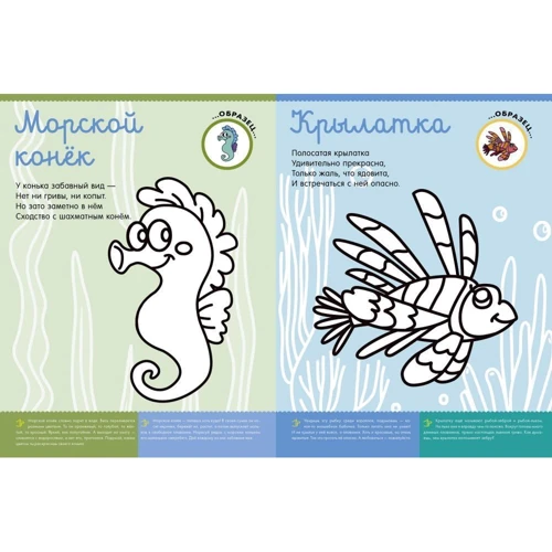 Кто живёт в море?: Обложка Мягкая