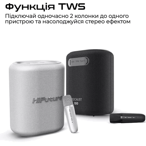 Акустика HiFuture Vocalist 100 Black (vocalist100.black): Звуковая система 2.0