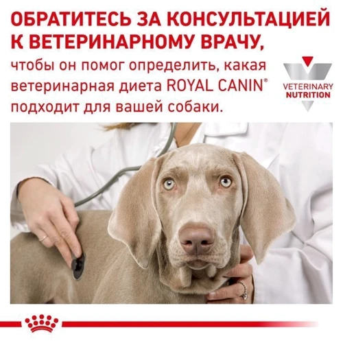 Сухой корм для собак Royal Canin Skin Care Dog при дерматозах 2 кг (40130201): Тип Сухой корм