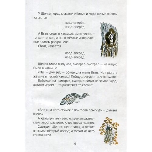 Виталий Бианки: Лесные домишки: Обложка Твердая