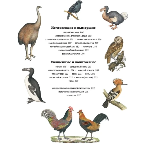 Марк Ейвері: Чудові птиці: Автор Марк Ейвері