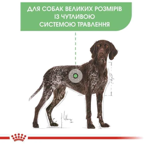 Сухой корм Royal Canin Digestive Care Maxi Adult для собак крупных пород с чувствительным пищеварением 12 кг (3055120): Тип Сухой корм