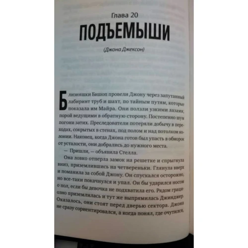 Дженніфер Броуді: Повернення ковчегів: Кількість сторінок 480
