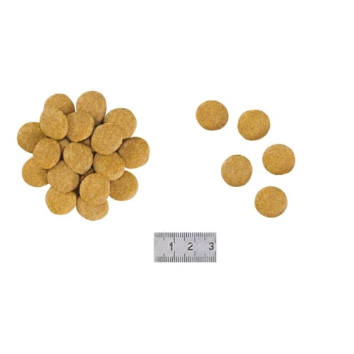 Сухой корм для собак Royal Canin Skin Care Dog при дерматозах 2 кг (40130201): Возраст Взрослые