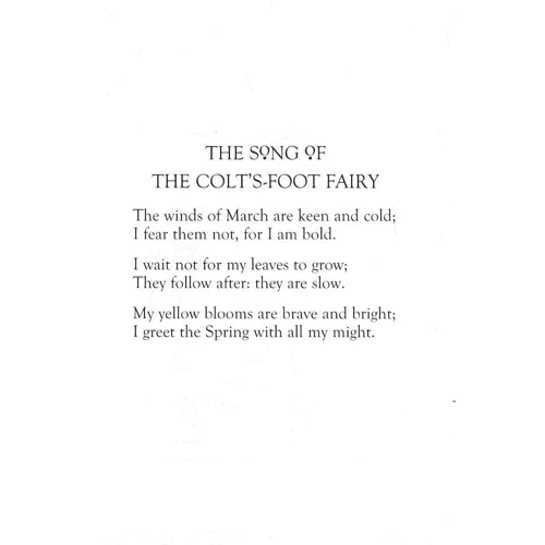 Cicely Mary Barker: Flower Fairies of the Spring: Количество страниц 56