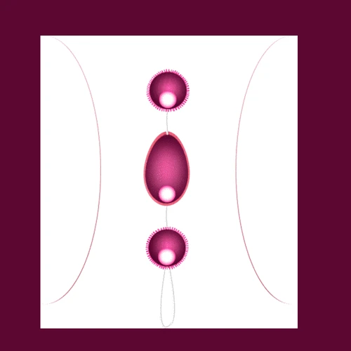 Вагинальные шарики LYBAILE Sexual Balls (BI-014036-4)