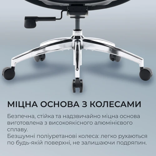Офисное кресло Sihoo DORO S100 Mesh Black (S100-M301)