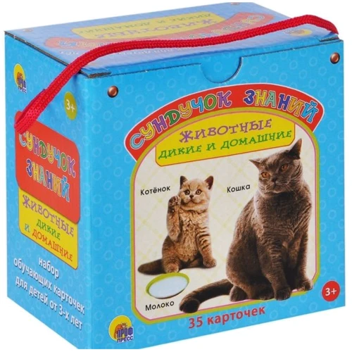 

Животные дикие и домашние. Сундучок знаний