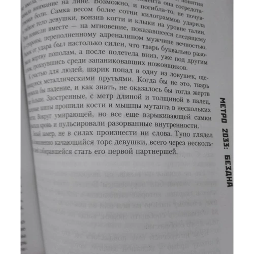 Роберт Шмидт: Метро 2033. Бездна: Количество страниц 352