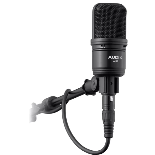 Мікрофон AUDIX A133: Тип перетворювача Конденсаторний