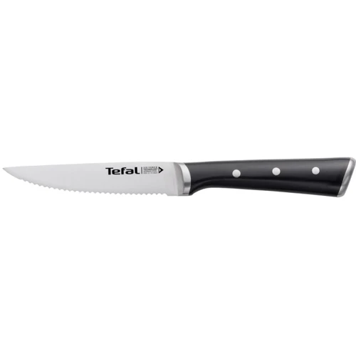 Набор кухонных ножей Комплект ножей для стейка Tefal Ice Force 11 см 4 шт. (K232S414): Материал рукояти Пластик