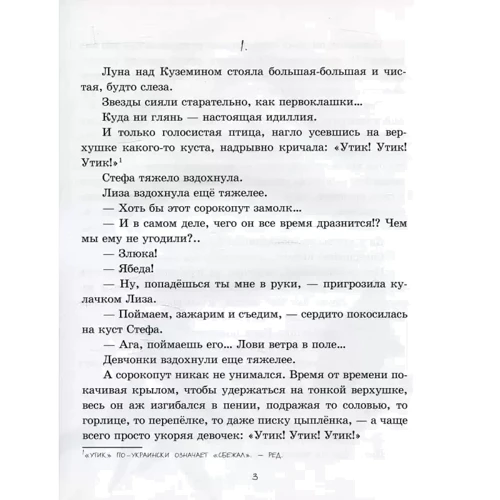 Іван Андрусяк: Сорокопуди, або Як Ліза і Стефа втекли з дому: Автор Іван Андрусяк