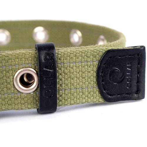 Ошейник Collar х/б тесьма,безразмерный ш 20мм, д 41см: Рассрочка Кредит, 4 месяца, 6 месяцев, 8 месяцев, 15 месяцев, 25 месяцев, 20 месяцев, 36 месяцев