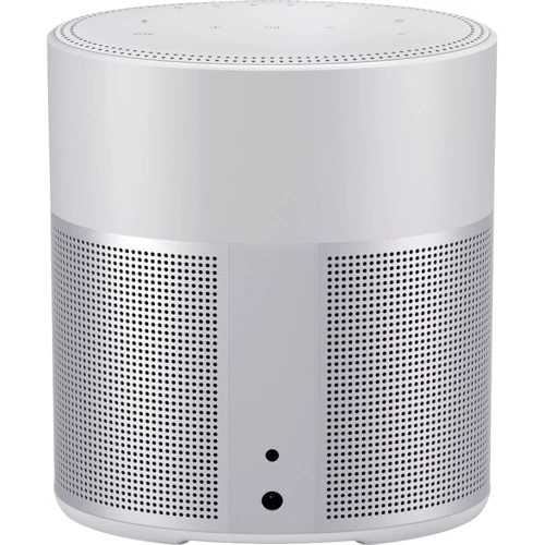Акустика Bose Home Speaker 300, Luxe Silver (808429-2300): Тип настольная