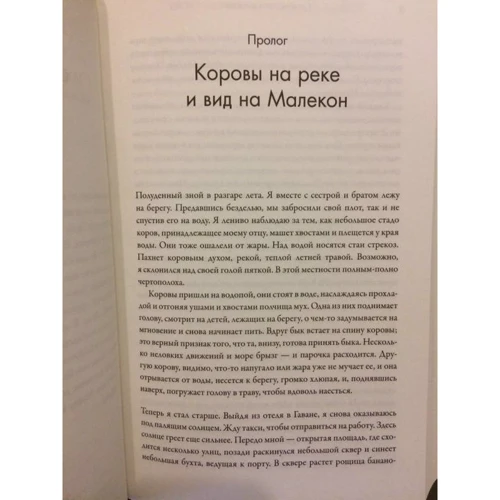 Де народжується інтелект: Виробник Кар'єра Прес
