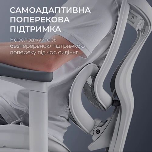 Офисное кресло Sihoo DORO C300L Mesh White (DORO-C300L-A3-102)