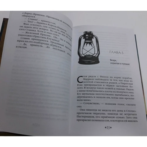 Кэрри Райан, Джон Парк Дэвис: Сердце Потока. Книга 4: Количество страниц 384