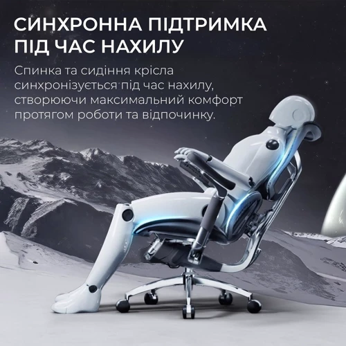 Офисное кресло Sihoo DORO S300 Mesh Dark Grey (S300-M201)