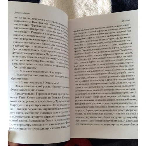 Шоколад: Количество страниц 400