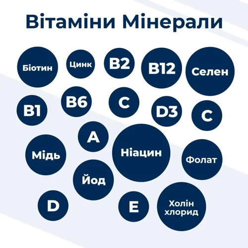 Сухой корм Dr.Clauder's Best Choice Junior Large для щенков больших и гигантских пород 12.5 кг (34011250): Порода Гигантские, Крупные