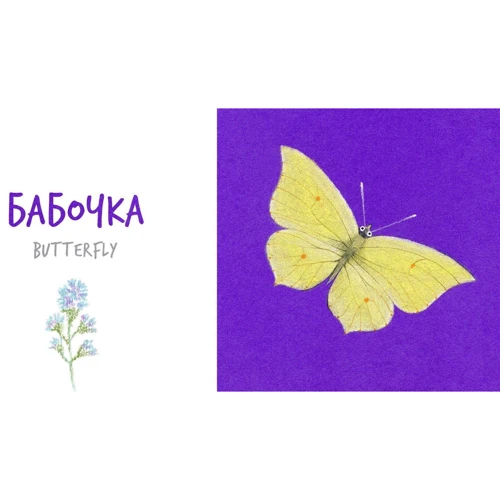 Катерина Таберко: Комахи: Виробник Артбукс