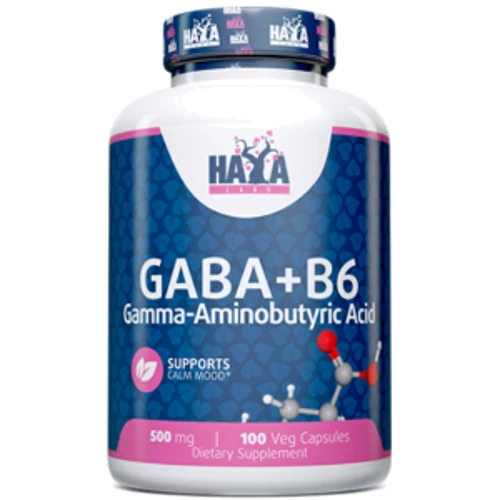 Аминокислота для спорта Haya Labs Gaba + B6 100 caps / 100 servings