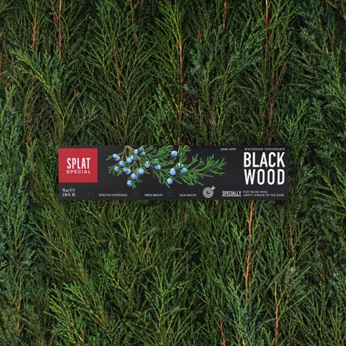 SPLAT Special Blackwood 75 ml Зубная паста: Количество в упаковке, шт 1