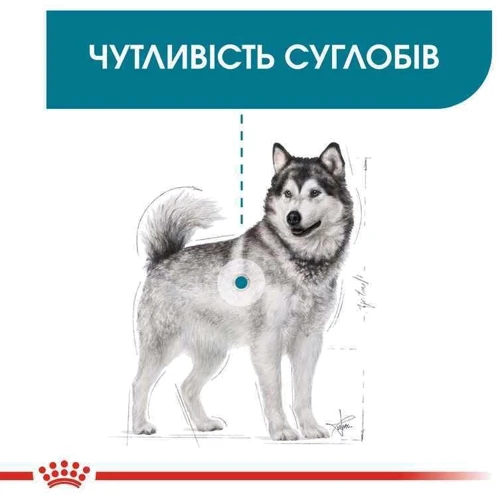 Сухой корм Royal Canin Maxi Joint Care Adult для собак крупных размеров с повышенной чувствительностью суставов 10 кг (2930100): Тип Сухой корм