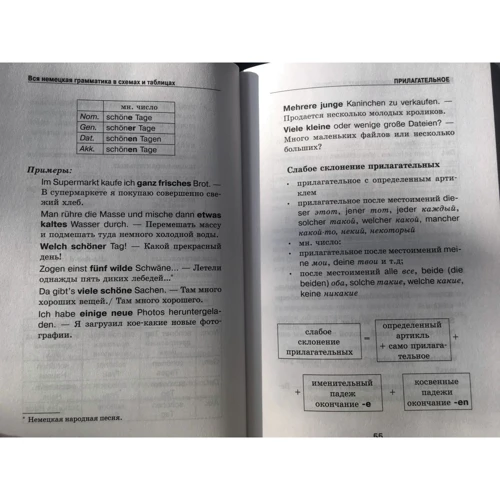 Н. А. Ганина: Вся немецкая грамматика в схемах и таблицах: Количество страниц 320
