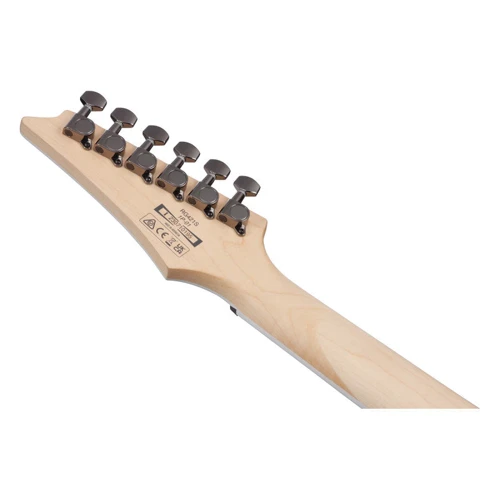 Электрогитара IBANEZ RG421S SEM: Количество струн 6