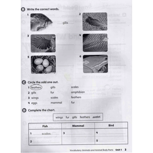 Oxford Discover 2nd Edition 2: Workbook with Online Practice: Количество страниц 168