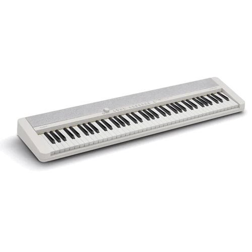 Синтезатор CASIO CT-S1-76WEC7 (363319): Тип Профессиональные