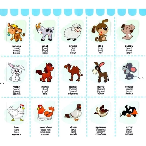 Зазирни у віконце. Animals/Тварини: Производитель Книжкова Хата