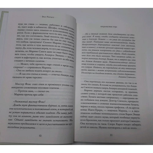 Предчувствие чуда. Пэтчетт Энн. Синдбад: Количество страниц 448